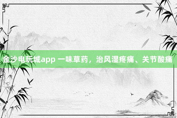 金沙電玩城app 一味草藥，治風濕疼痛、關節酸痛  