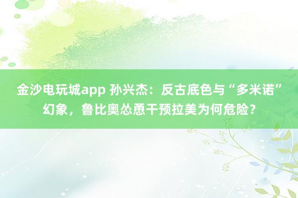 金沙電玩城app 孫興杰：反古底色與“多米諾”幻象，魯比奧慫恿干預拉美為何危險？