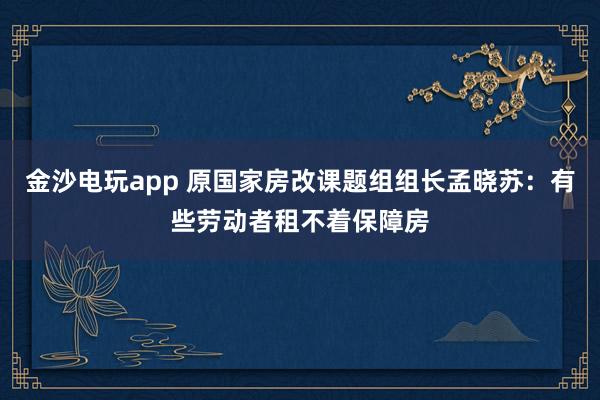 金沙電玩app 原國(guó)家房改課題組組長(zhǎng)孟曉蘇：有些勞動(dòng)者租不著保障房
