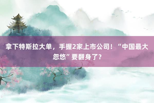 拿下特斯拉大單，手握2家上市公司！“中國最大忽悠”要翻身了？