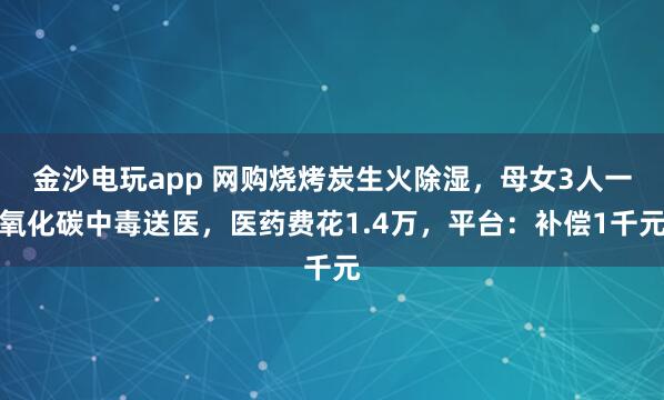 金沙電玩app 網購燒烤炭生火除濕，母女3人一氧化碳中毒送醫，醫藥費花1.4萬，平臺：補償1千元