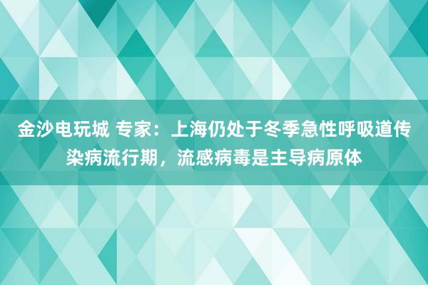 金沙電玩城 專家：上海仍處于冬季急性呼吸道傳染病流行期，流感病毒是主導病原體