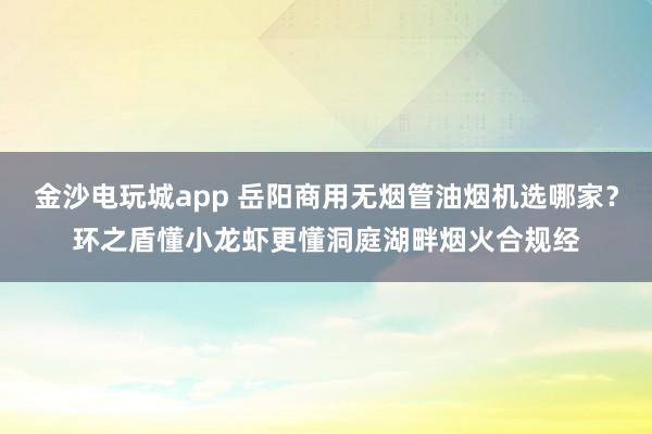 金沙電玩城app 岳陽商用無煙管油煙機選哪家？環(huán)之盾懂小龍蝦更懂洞庭湖畔煙火合規(guī)經(jīng)