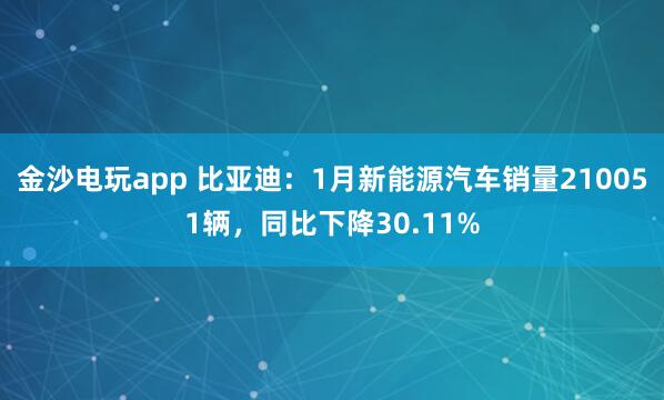金沙電玩app 比亞迪：1月新能源汽車銷量210051輛，同比下降30.11%
