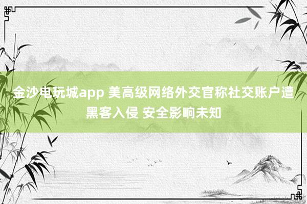 金沙電玩城app 美高級網(wǎng)絡外交官稱社交賬戶遭黑客入侵 安全影響未知
