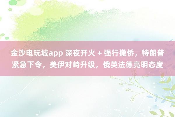 金沙電玩城app 深夜開火 + 強行撤僑，特朗普緊急下令，美伊對峙升級，俄英法德亮明態度