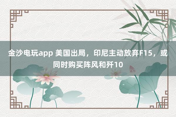 金沙電玩app 美國出局，印尼主動放棄F15，或同時購買陣風和殲10