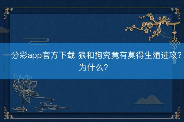 一分彩app官方下載 狼和狗究竟有莫得生殖進(jìn)攻? 為什么?