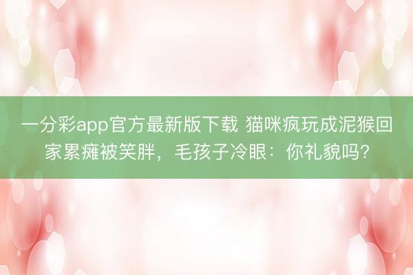 一分彩app官方最新版下載 貓咪瘋玩成泥猴回家累癱被笑胖，毛孩子冷眼：你禮貌嗎?